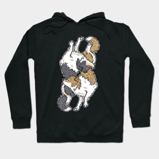 Collie Love Hoodie